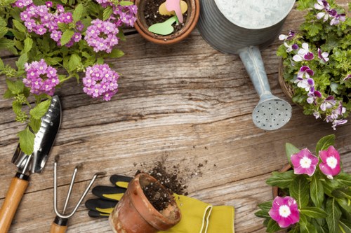 Professional tree surgery services in Mile End for urban tree maintenance