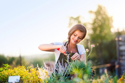 Garden maintenance in Mile End with neat lawns and borders