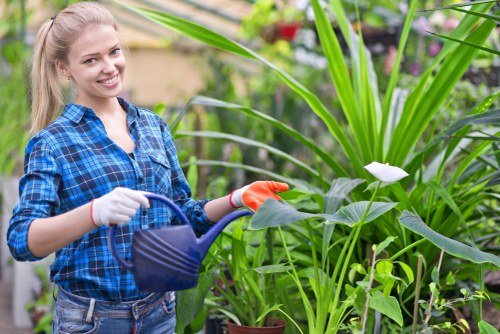 Landscaping in Mile End with a well-designed residential garden