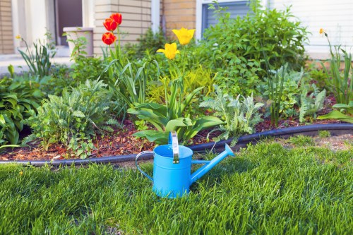 Local garden maintenance and planting in Mile End