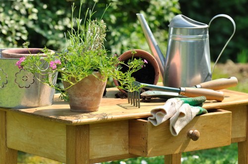 Tidy outdoor space after garden clearance in Mile End