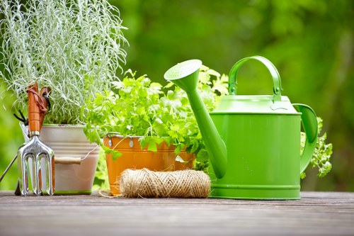 Lawn maintenance and planting care in Mile End