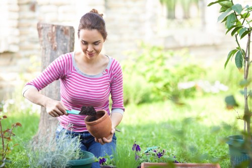 Professional garden maintenance work in a Mile End outdoor space