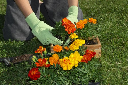 Practical garden design and upkeep in Mile End