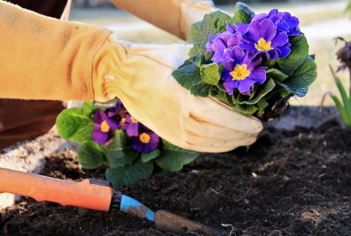 Mile End garden clearance service sorting green waste and outdoor rubbish