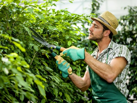 Professional landscaping in Mile End for a stylish outdoor space