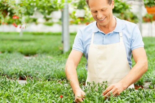 Aeration and turf improvement for Mile End gardens