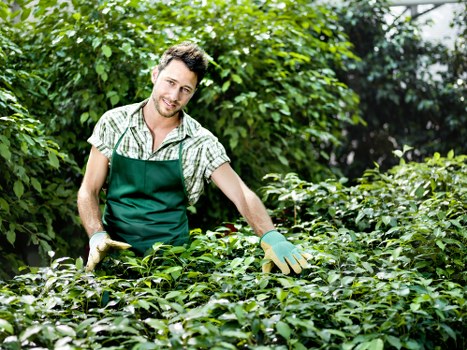 Transparent garden clearance estimate for a rental property