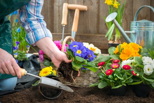 Local gardeners shaping hedges and borders in Mile End