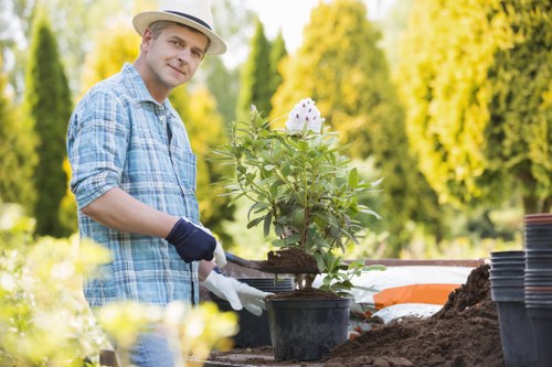 Seasonal planting and lawn care by gardeners in Mile End