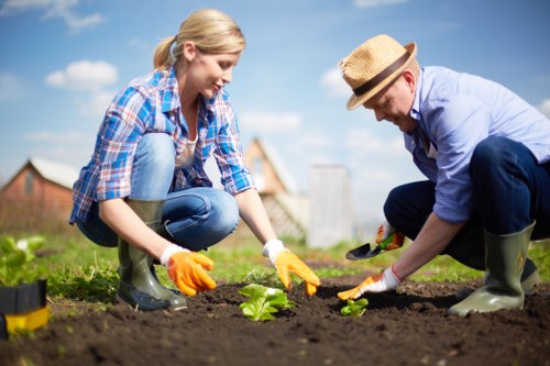Free quote policy for Gardeners Mile End services