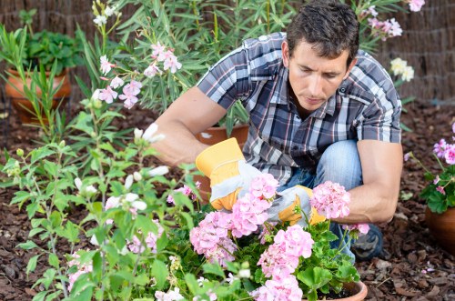 Professional team clearing leaves, branches, and debris in Mile End garden