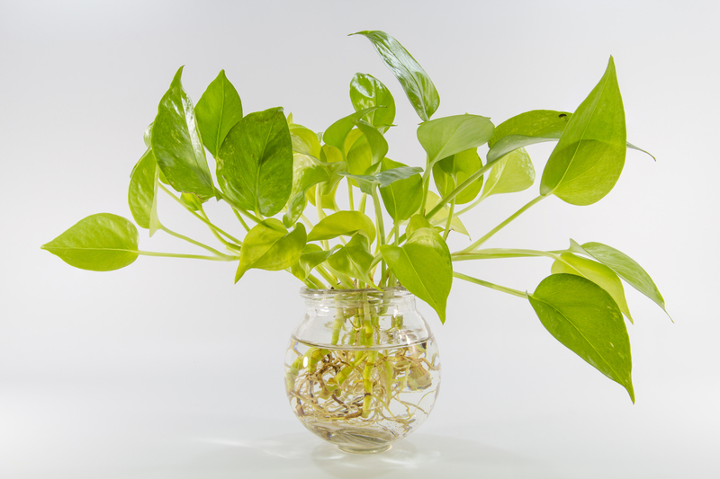 Garden outdoor space